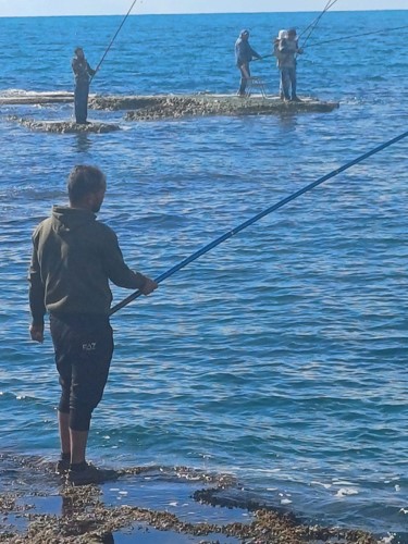 نازحون بلا مأوى تجمعهم أفياء شجرة معمرة.. والسؤال يتكرر: متى تنتهي الحرب؟