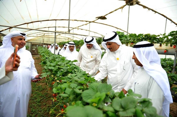 الشيخ حمود الجابر والحضور خلال الجولة في الوفرة الزراعية