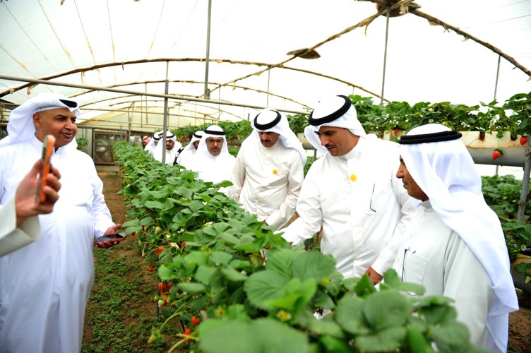 الشيخ حمود الجابر والحضور خلال الجولة في الوفرة الزراعية