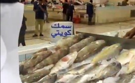 «الغذاء» تطمئن المستهلكين: توافر جميع الأسماك