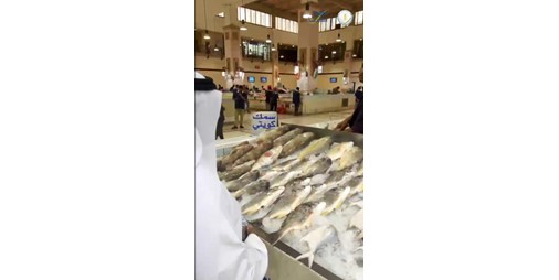 «الغذاء» تطمئن المستهلكين: توافر جميع الأسماك