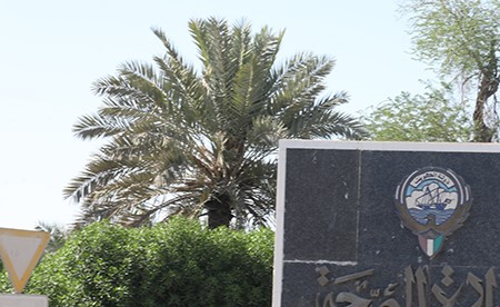«الصحة» تفتح باب طلبات النقل عبر تطبيق «MOH ESS» ابتداءً من 3 مايو المقبل