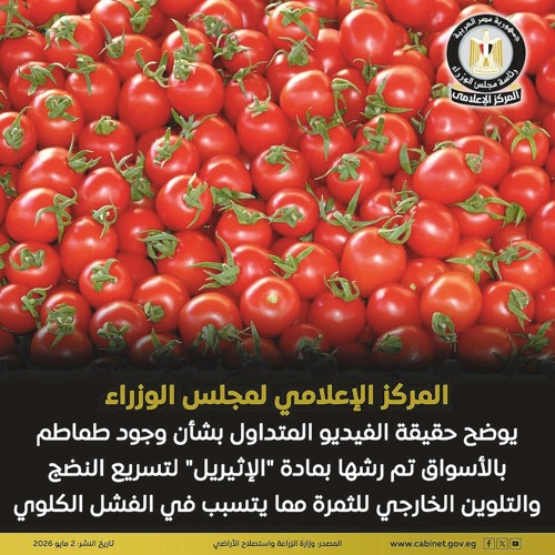 المركز الإعلامي لمجلس الوزراء: لا صحة لرش الطماطم بمادة «الإثيريل» المسببة للفشل الكلوي