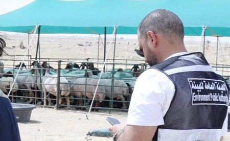 «البيئة»: تحرير عدد من المخالفات في حملة تفتيشية على المناطق البرية في الدائري السابع