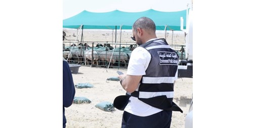 «البيئة»: تحرير عدد من المخالفات في حملة تفتيشية على المناطق البرية في الدائري السابع