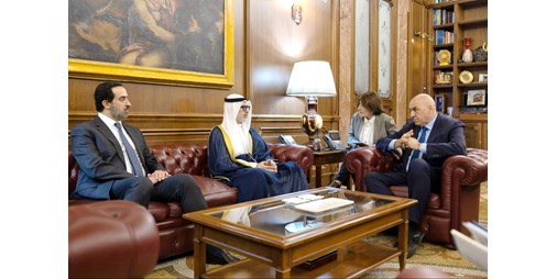 وزير الخارجية بحث مع وزير الدفاع الإيطالي العلاقات الدفاعية والتعاون المشترك بين البلدين