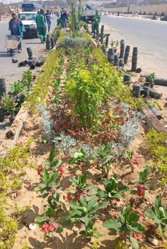 جنب من المبادرة الرئاسية لزراعة 100 مليون شجرة
