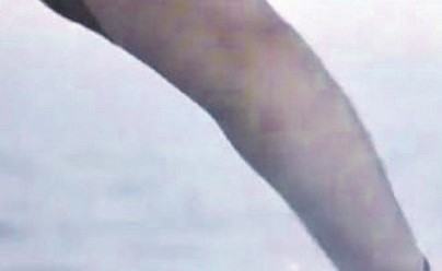 بالفيديو.. «الإطفاء» تشدد على الالتزام بإرشادات السلامة خلال الرحلات البحرية