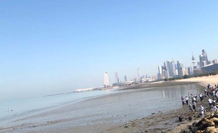 «حماية البيئة»: ضرورة حماية مياه الخليج العربي وكائناته من التلوث