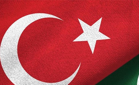 باكستان وتركيا تبحثان تطورات الأوضاع في المنطقة