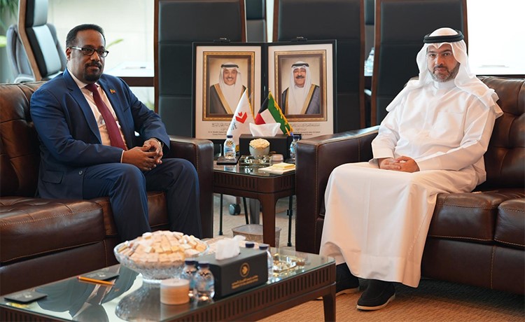 رئيس الطيران المدني يبحث مع سفير إثيوبيا تعزيز التعاون