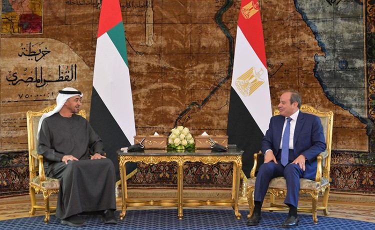 الرئيسان المصري والإماراتي يبحثان تطورات الشرق الأوسط ويشددان على أهمية العمل من أجل تعزيز أسباب السلام والاستقرار