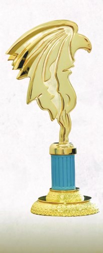 جائزة المهرجان
