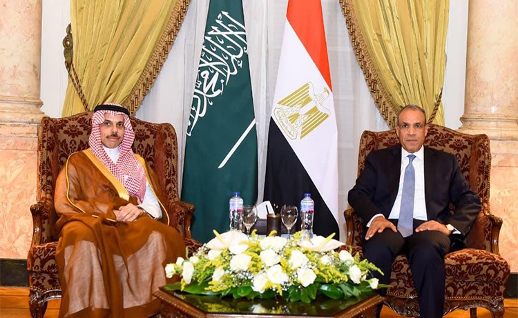 وزيرا خارجية مصر والسعودية يبحثان تعزيز التعاون المشترك والتطورات الاقليمية