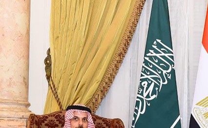 وزيرا خارجية مصر والسعودية يبحثان تعزيز التعاون المشترك والتطورات الاقليمية