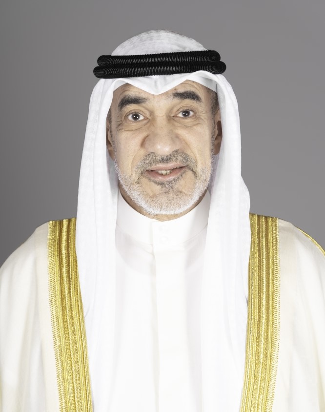 النائب الأول هو الوزير المختص بقانون مكافحة جرائم الإرهاب