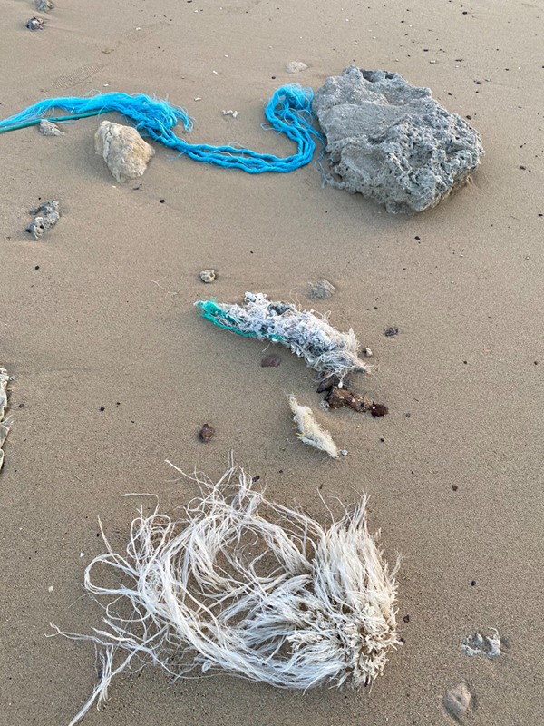 "حماية البيئة": التلوث البلاستيكي خطر يواجه العالم ويمتد للنظم البحرية والتنوع الحيوي والأمن الغذائي