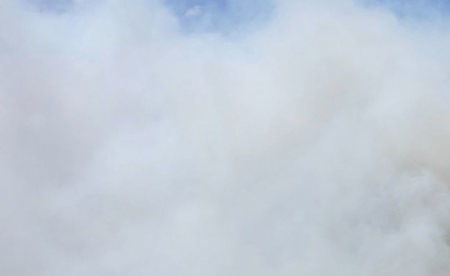 حريق «استثنائي» يلتهم مساحات واسعة في غابة فونتينبلو الشهيرة قرب باريس