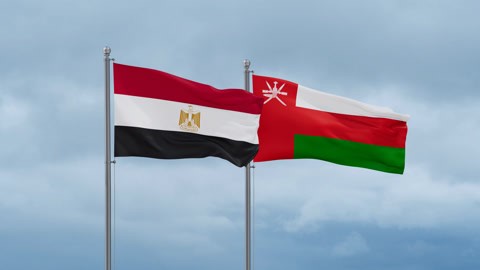 وزيرا الخارجية المصري والعماني يشددان على ضرورة خفض التصعيد بالمنطقة