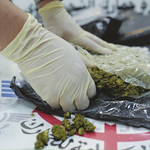 10 كيلو غرامات ماريغوانا أخفيت بطريقة احترافية لتجاوز الإجراءات الجمركية