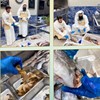 "الغذاء": إتلاف 61 كغم من الأسماك غير الصالحة للاستهلاك في خيطان