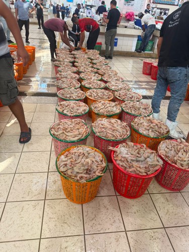 سعر السلة يتراوح بين 40 و50 دينارا