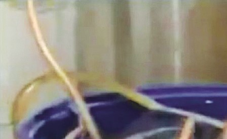 «الداخلية»: ضبط 180 زجاجة جاهزة للبيع و18 برميلاً وأجهزة تقطير
