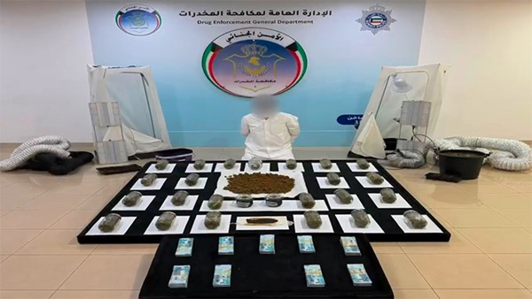 ضبط مواطن يدير مزرعة لـ«الماريغوانا» في الدوحة وبحوزته أكثر من 6 كيلوغرامات مخدرات