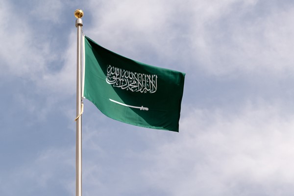 السعودية ومصر و"مجلس التعاون" يدينون استهداف ناقلتي نفط إماراتيتين أثناء عبورهما مضيق هرمز