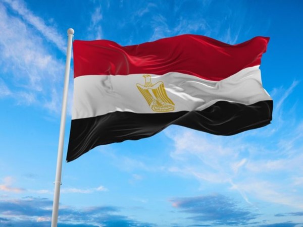 السعودية ومصر و"مجلس التعاون" يدينون استهداف ناقلتي نفط إماراتيتين أثناء عبورهما مضيق هرمز