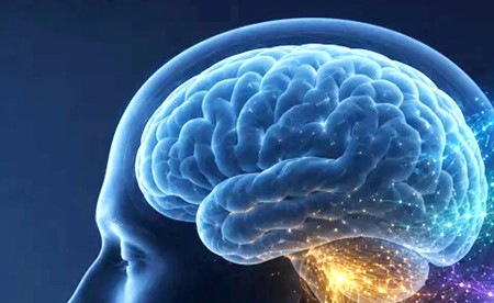 تعلُّم أكثر من لغة يبطئ «شيخوخة الدماغ»