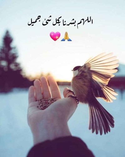 صورة عن التفاؤل