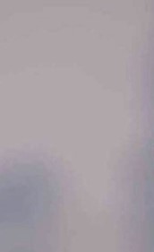 الشامي ونجوى.. ديو جديد