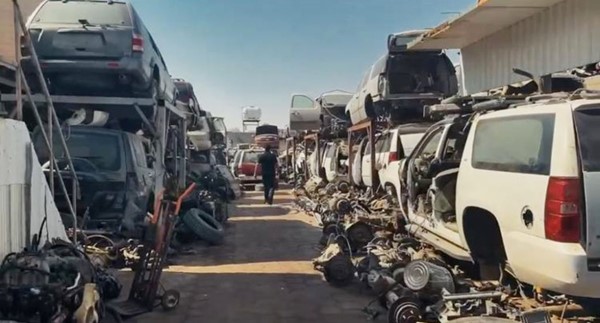 بالفيديو.. «الجنائية» تضبط 68 مخالفاً ومتغيباً و3 متهمين بالسرقة في «السالمي» و«أمغرة»