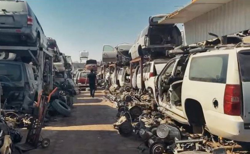 بالفيديو الجنائية تضبط 68 مخالفا ومتغيبا و3 متهمين بالسرقة في السالمي وأمغرة