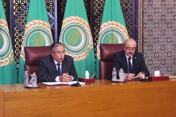 وزير الخارجية التونسي محمد النفطي مؤتمر صحفي مشترك مع الأمين العام لجامعة الدول العربية نبيل فهمي