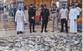 إتلاف 500 كيلو من الأسماك و25 كيلو من المواد الغذائية في الأحمدي