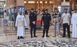 إتلاف 500 كيلو من الأسماك و25 كيلو من المواد الغذائية في الأحمدي