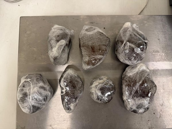 "الجمارك" تحبط تهريب نصف كيلو حشيش وكوكاكيين و4 آلاف كبسولة «لاريكا» عبر مطار T4