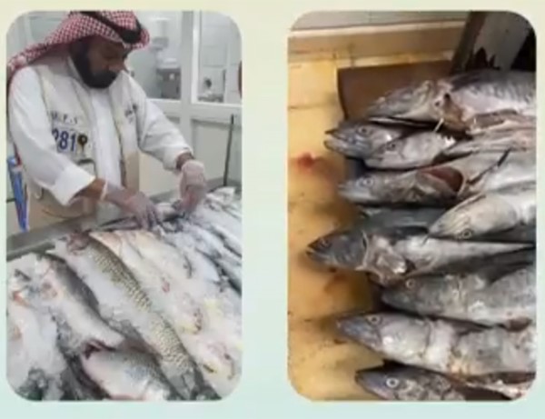 ‏هيئة الغذاء: إتلاف 204 كيلوغرامات من الأسماك غير الصالحة في العاصمة