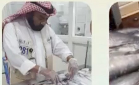 هيئة الغذاء: إتلاف 204 كيلوغرامات من الأسماك غير الصالحة في العاصمة