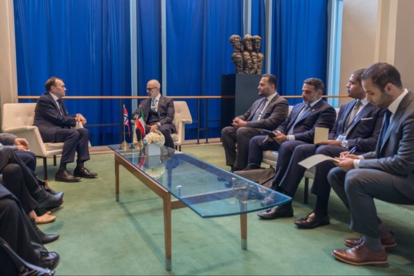 وزير الخارجية يبحث مع نظيره النرويجي آخر المستجدات على الساحتين الإقليمية والدولية