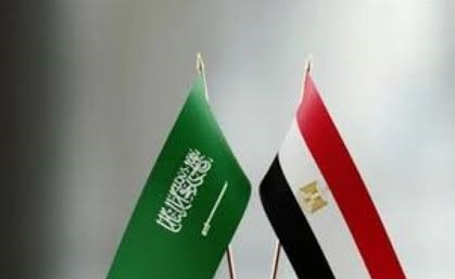 مصر والسعودية تؤكدان ضرورة الحفاظ على حرية الملاحة البحرية بالبحر الأحمر وباب المندب