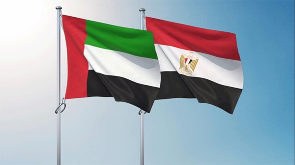 وزير الخارجية المصري ونظيره الإماراتي يبحثان العلاقات الثنائية وتطورات المنطقة