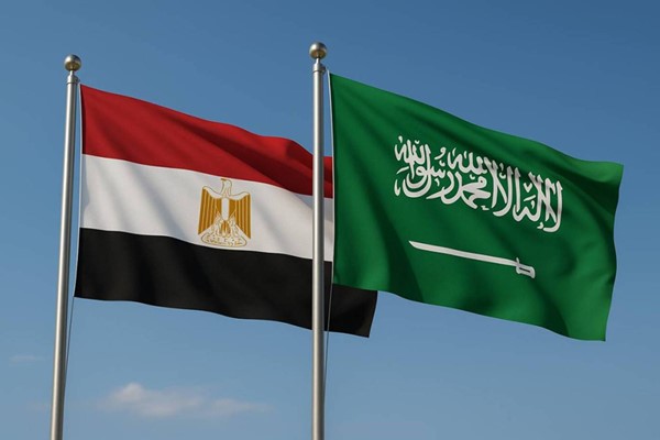 مصر تدين بشدة الاعتداء "الحوثي" على محطة كهرباء بالمدينة المنورة
