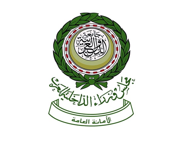 مجلس وزراء الداخلية العرب يدين الاعتداءات الحوثية على مطاري جازان ونجران بالسعودية