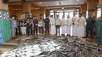 &laquo;الغذاء&raquo;: إتلاف 773 كغم أسماك فاسدة و4 مخالفات لعدم الالتزام باشتراطات النظافة في الفحيحيل