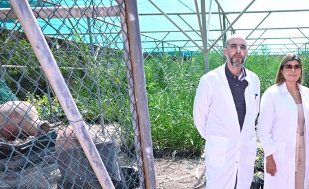 بالفيديو.. «الأبحاث»: نستخدم تقنيات حديثة لإكثار النباتات