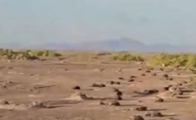 القوات الحكومية اليمنية تواصل تقدمها على جبهات الساحل الغربي