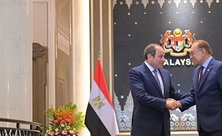 السيسي: ضرورة تضافر جهود جميع الأطراف للعمل على إحلال السلام والتمسك بقواعد القانون الدولي
